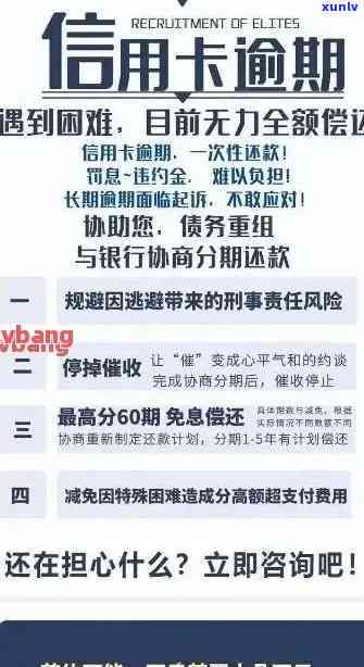 探索蓝水冰种玉石在上的批发价格和货源，如何选择适合的手镯和吊坠