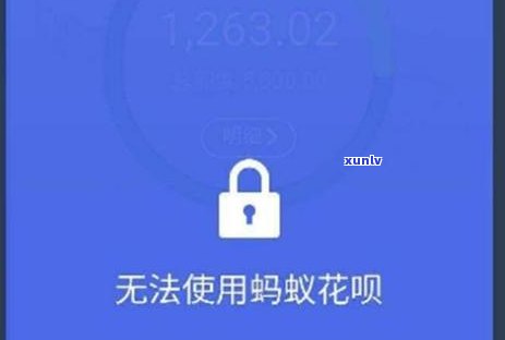 长命锁翡翠吊坠价格：寓意与象征