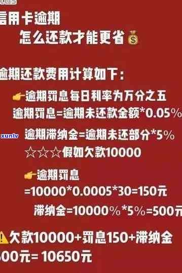 新疆信用卡网贷逾期解决攻略：如何处理欠款问题？