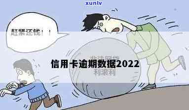 2022信用卡逾期率高-2022信用卡逾期率高吗