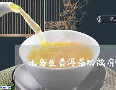 冰岛甜生茶做冷泡茶-冰岛甜生茶做冷泡茶好喝吗