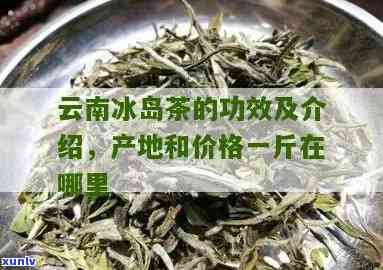 云南冰岛散茶的特点-冰岛散茶价格