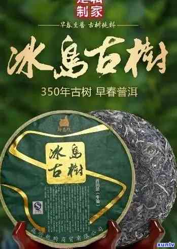 冰岛古树茶永发茶厂-冰岛古树精致茶厂