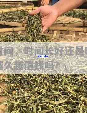 什么茶叶时间越长越贵，茶叶界的秘密：时间越长，价格越高？