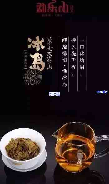 冰岛茶的特点口感，探索冰岛茶的独特口感：一种清新、甜的享受