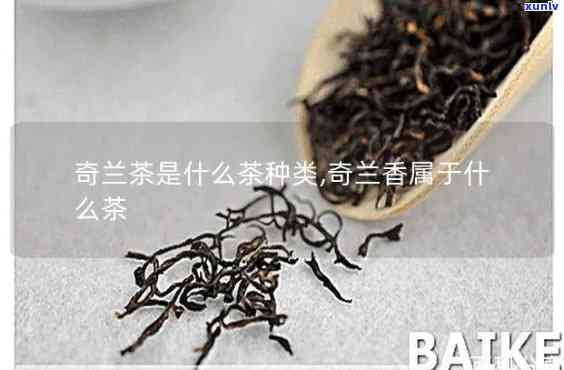 奇兰茶叶是什么茶类-奇兰茶叶是什么茶类的