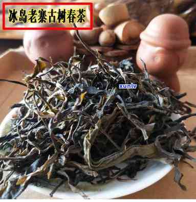 双江冰岛老寨古树茶-双江冰岛老寨茶叶