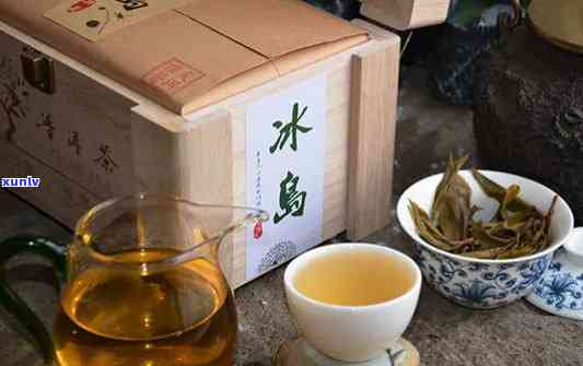 友茗冰岛老寨老树茶-冰岛古树老茗号