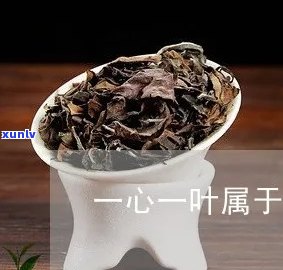 一叶一心的茶叫什么茶？价格、品种全揭秘！