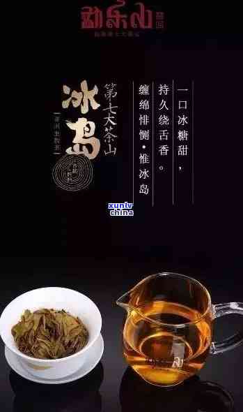 冰岛的茶，探索神秘的北极世界：品味冰岛的醇厚茶香