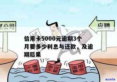 信用卡5千逾期3个月利息多少，信用卡逾期3个月，5000元的利息是多少？