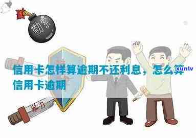 信用卡逾期怎么开始算-信用卡逾期怎么开始算利息