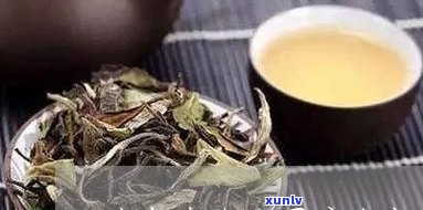 怎样辨别真假冰岛茶-怎样辨别真假冰岛茶叶