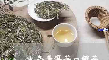 冰岛哪里有卖口粮茶-冰岛哪里有卖口粮茶的