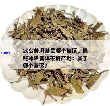 冰岛茶是哪个地区的名茶，揭秘世界名茶：冰岛茶的产地和特点