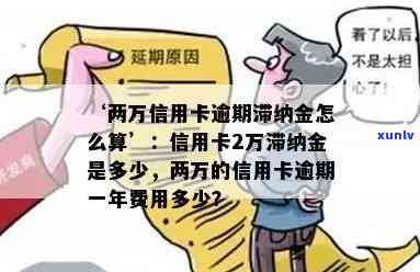 信用卡逾期2万利息和滞留金多少钱，逾期2万元的信用卡，利息和滞纳金要交多少？