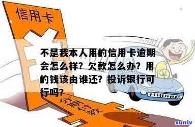 不是本人办理的信用卡逾期可投诉银行？如何申诉非本人卡及贷款问题解析