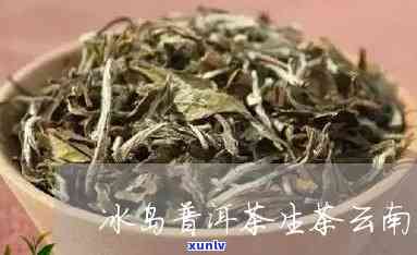 云南勐海有冰岛茶吗-云南勐海有冰岛茶吗现在