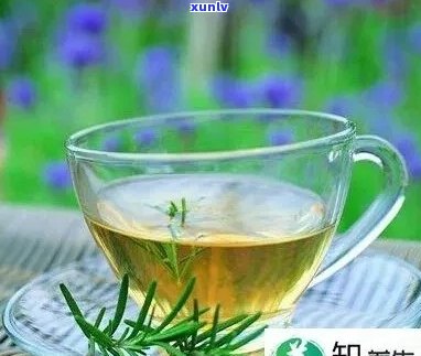 老班章茶叶：高品质茶叶的选择与应用指南