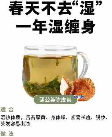 天喝什么茶最降火、去湿气效果？