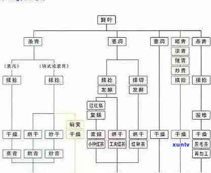 2020年信用卡逾期问题大揭秘：原因、影响与解决方案一文解析！