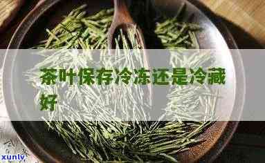 茶叶用冷冻还是冷藏-茶叶用冷冻还是冷藏好