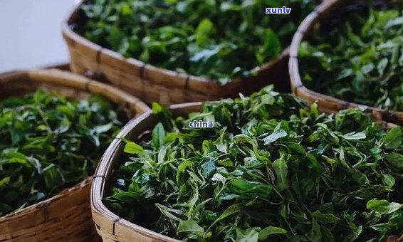 广东揭阳出产的茶叶品种丰富多样，其中以铁观音、单丛等最为出名。揭阳特色茶叶是当地的骄傲，值得品尝。