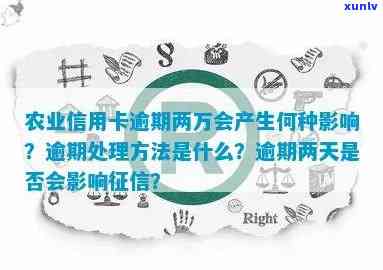 农业信用卡逾期12天怎么办，应对农业信用卡逾期：12天内解决方案