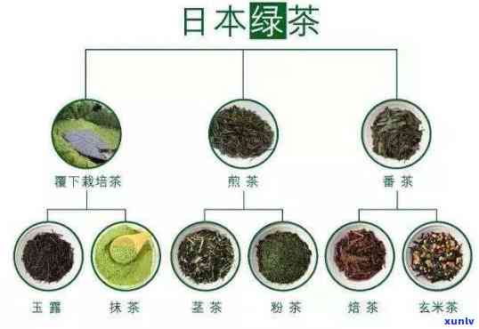 茶叶排行榜图片，探索的茶文化：揭秘更受欢迎的茶叶排行榜！