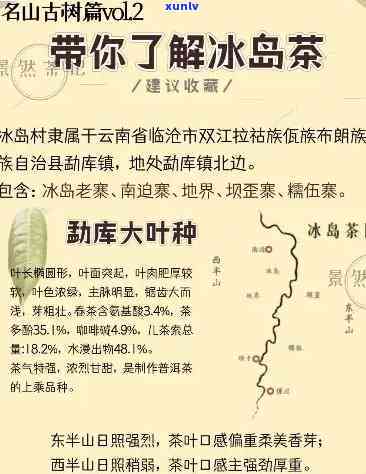 冰岛茶产地在哪里多少钱一斤，探寻冰岛茶田：产地揭秘与价格解析