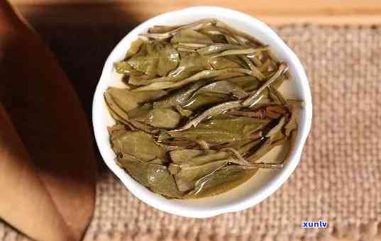 冰岛黄金叶：熟茶还是生茶？探讨其品种特性与口感特点