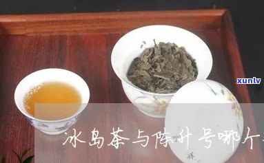 陈升号有没有冰岛茶-陈升号冰岛之韵