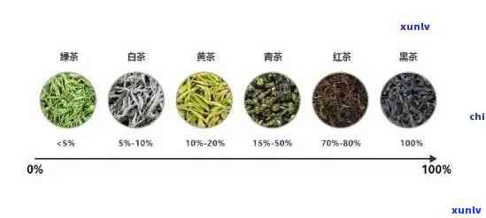 茶叶的大有那些，探索茶叶世界：揭秘各大茶叶大！