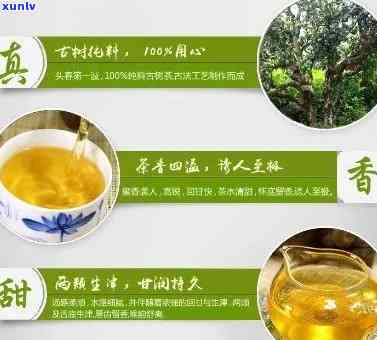 冰岛茶膏功效与作用是什么，揭示冰岛茶膏的神奇功效与作用