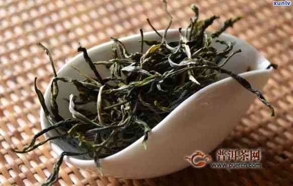 冰岛大叶茶图片大全集，探索冰岛大叶茶的美丽世界：图片大全集