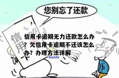 信用卡逾期还是尽力还款-信用卡逾期还是尽力还款怎么办