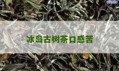 冰岛古树茶有苦涩吗-冰岛古树茶有苦涩吗为什么