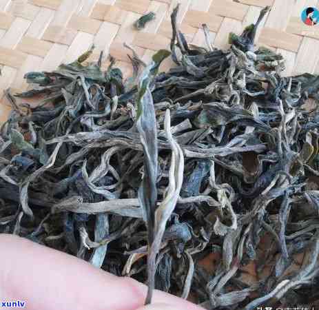 冰岛地界茶是什么意思？详解冰岛茶与地界茶的区别、价格及口感特点