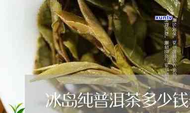 冰岛单株式茶多少钱-冰岛单株茶多少钱一斤