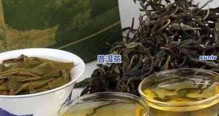 冰岛生态茶属于什么茶，探秘冰岛生态：揭示冰岛茶的品种归属