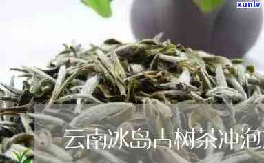 云南冰岛古树茶特点-云南冰岛古树茶特点介绍