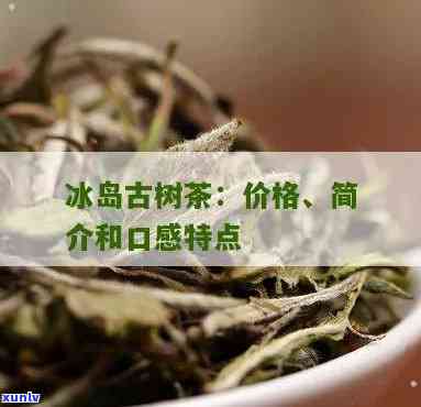 云南冰岛古树茶特点-云南冰岛古树茶特点介绍