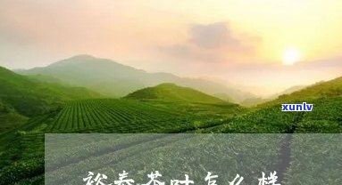 裕泰茶叶怎么样，裕泰茶叶：口感、品质与介绍