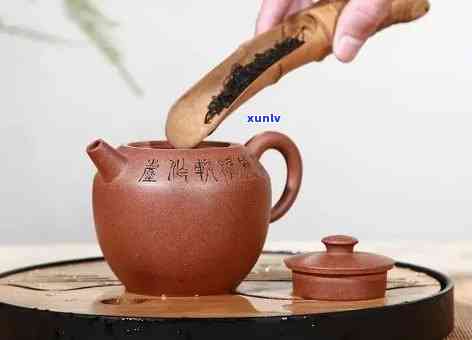 降坡泥冲泡首选什么茶？探讨搭配与茶具选择