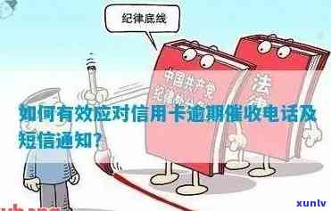 信用卡逾期受案通知短信怎么发，信用卡逾期：如何正确接收受案通知短信？