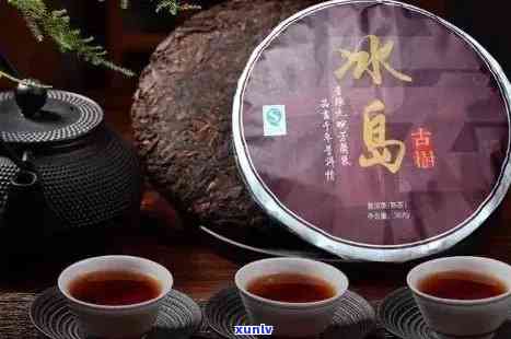 冰岛古树茶的口感：三大特点与熟茶解析