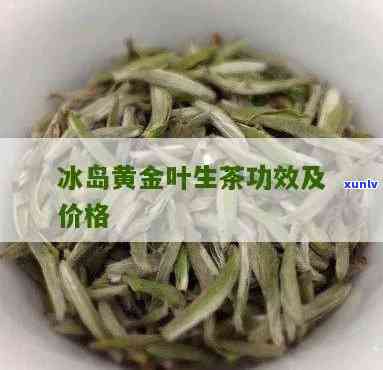 冰岛金叶茶价格，探究冰岛金叶茶的价格：一探究竟