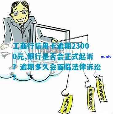 鼎元茶叶：品味千年古树的独特韵味