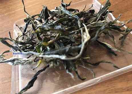 冰岛茶化石能不能喝茶，探索冰岛茶化石：它是否适合泡茶？