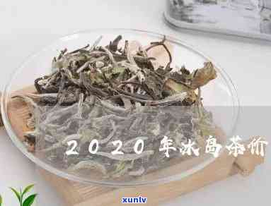 2020年冰岛茶优秀：价格走势与价值解析